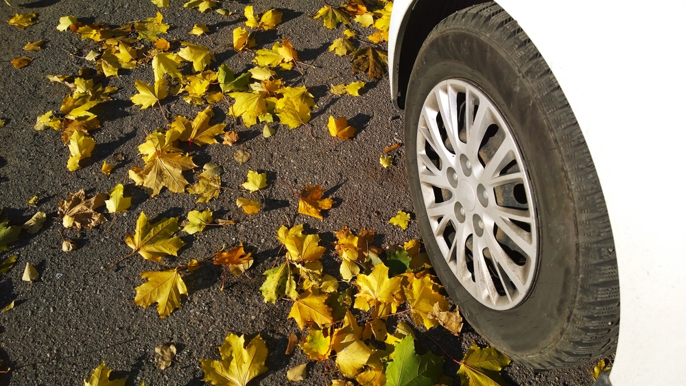 Car wheel on road. Yellow fallen maple leaves on asphalt. Golden autumn street. Travelling. Driving. Automobile hubcap. Protection auto. Fall season. Vehicle tire. Free parking. Autumnal day. Scene.